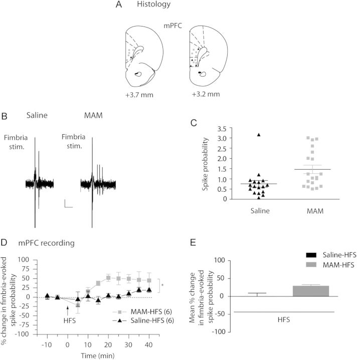 Figure 2.