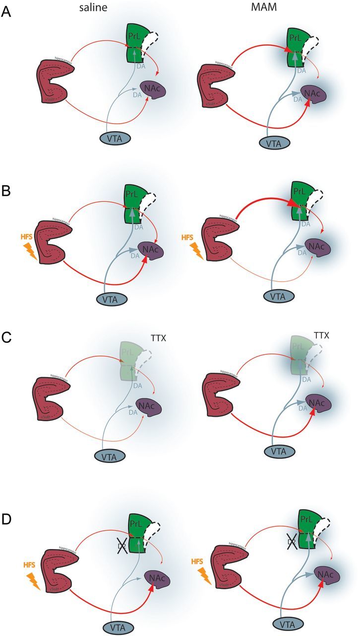 Figure 6.