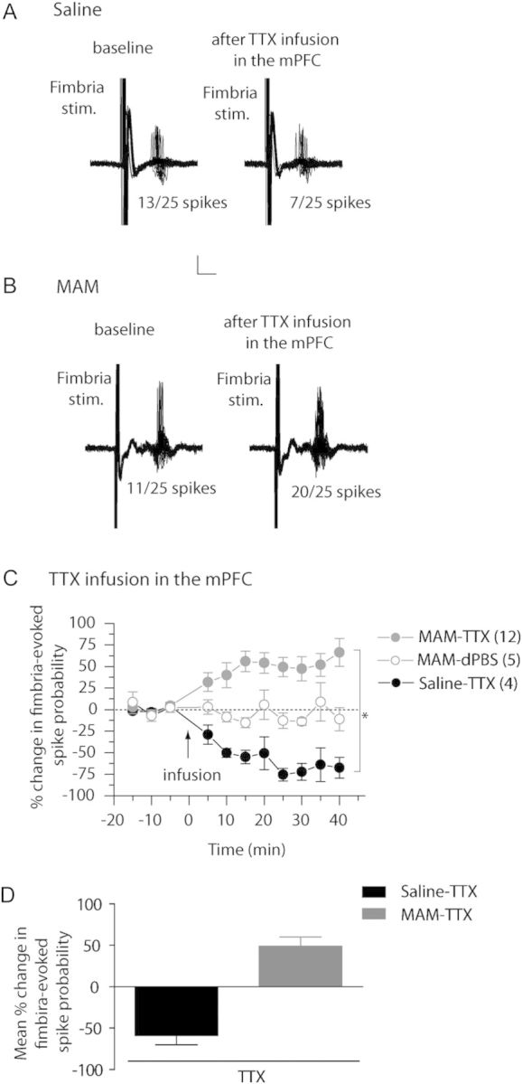 Figure 3.