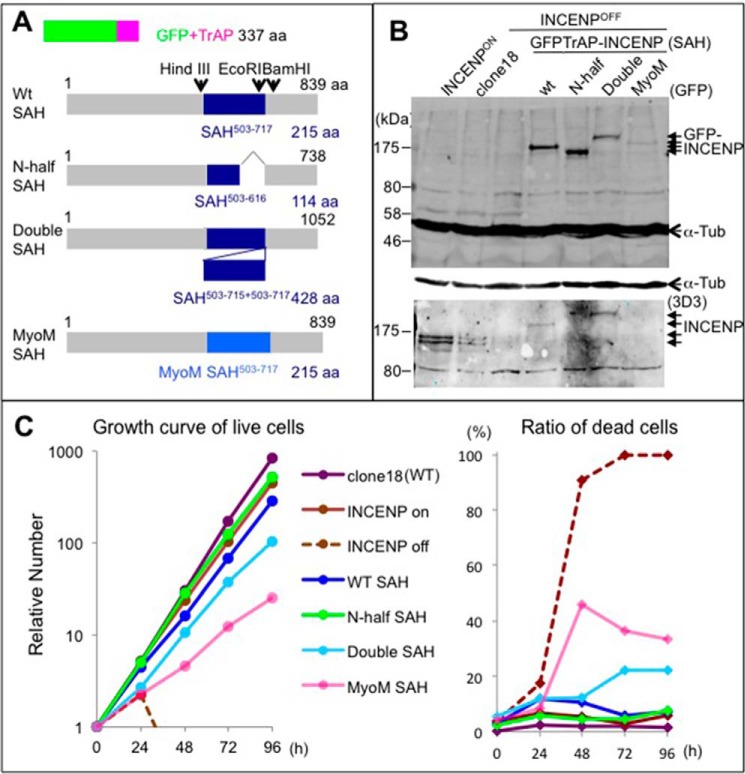 FIGURE 2.