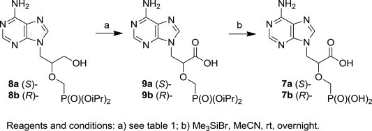 Scheme 1