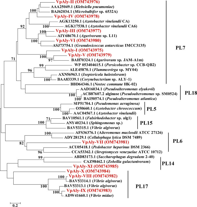 FIG 2