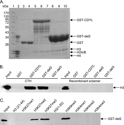 FIGURE 1.