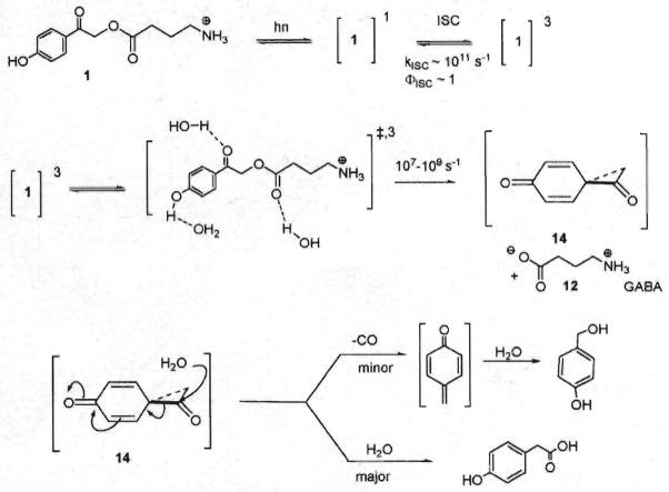 Scheme 2