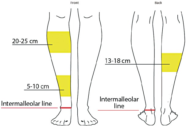 Fig. 5