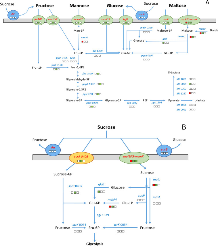 Fig 6