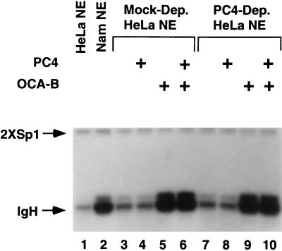 FIG. 5