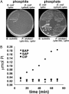 Fig. 3.