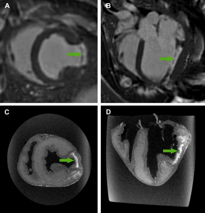 Figure 4