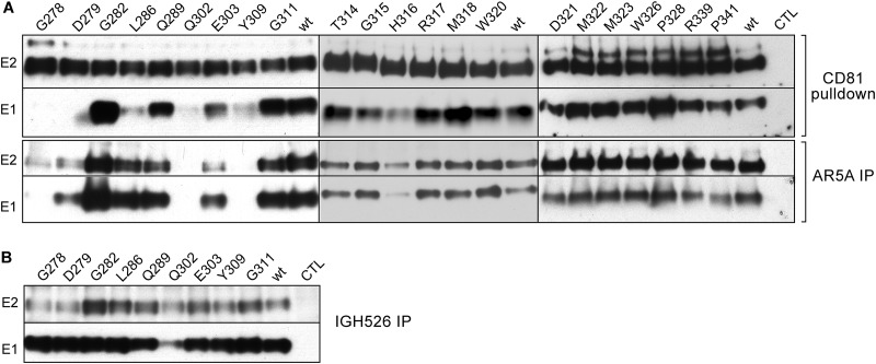 FIG 5