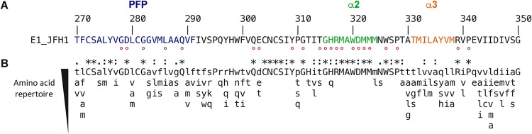 FIG 1