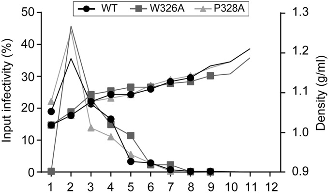 FIG 8