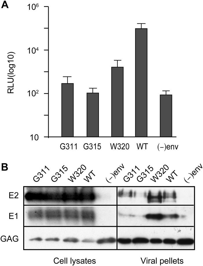 FIG 10