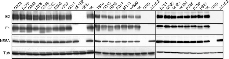 FIG 2