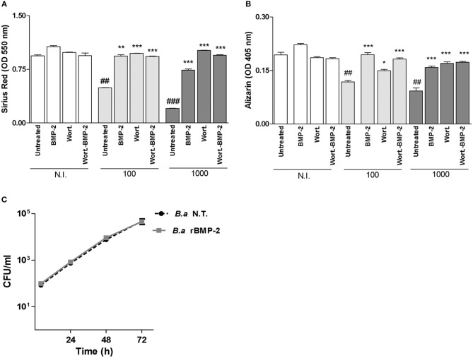 B. Abortus Modulates Osteoblast Function Through the Induction of ...