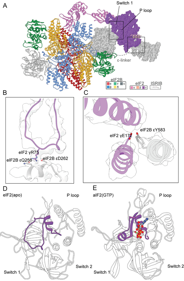 Fig. 2.