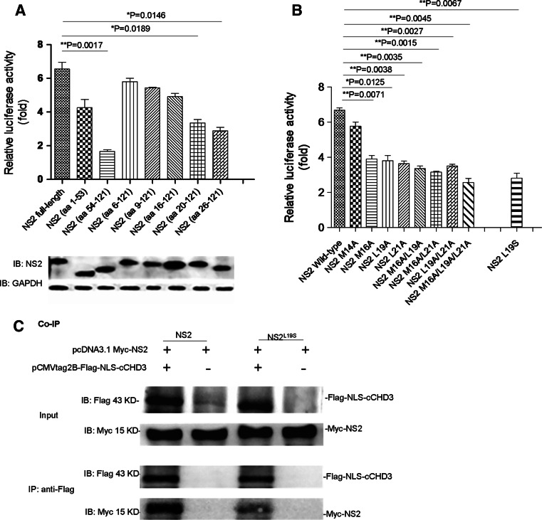 Fig. 3