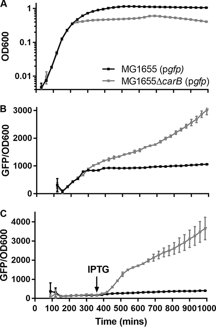 FIG 6