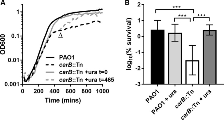 FIG 3