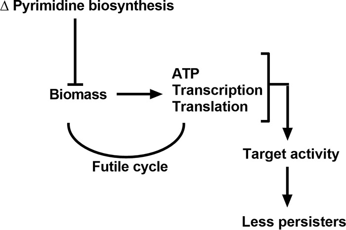 FIG 7