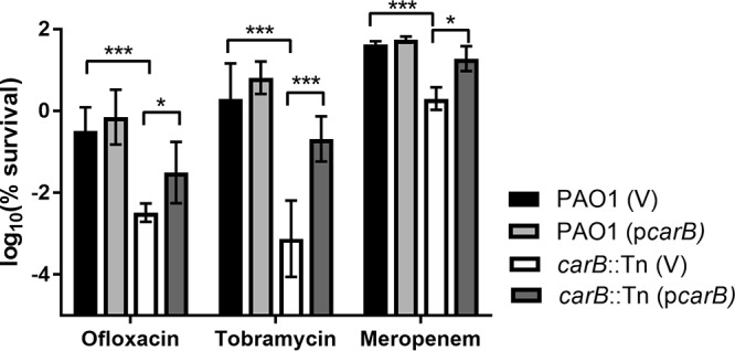 FIG 2