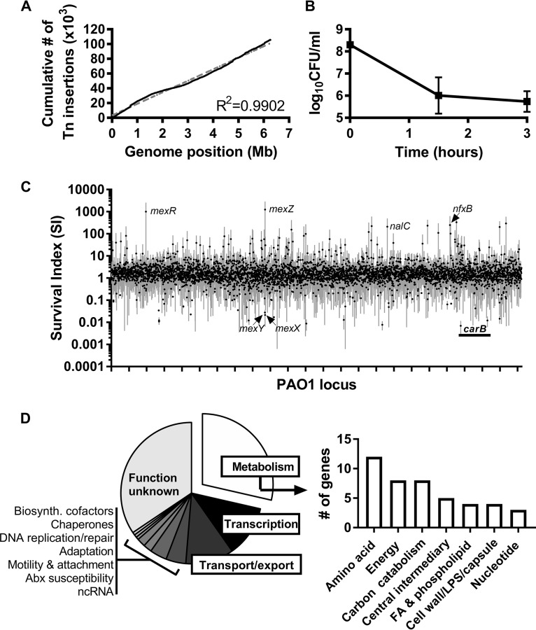 FIG 1