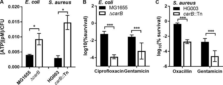 FIG 5