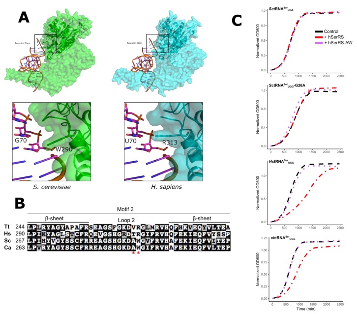 Figure 5