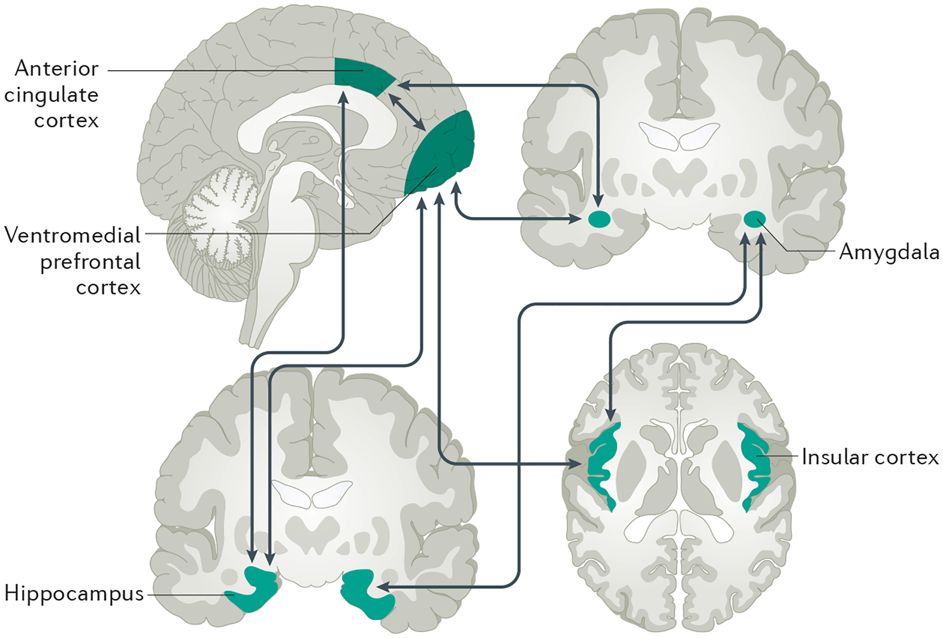 Figure 3 |