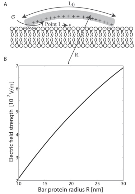 Fig. (4)