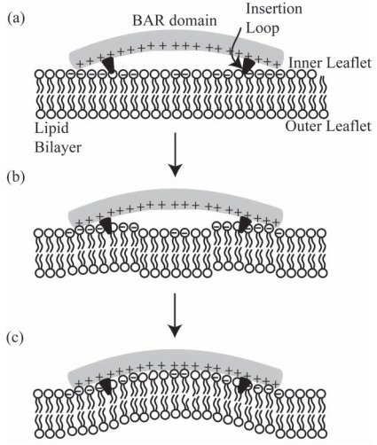 Fig. (2)