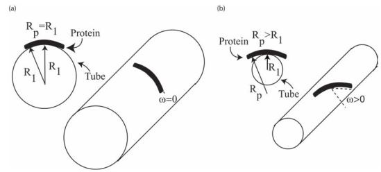 Fig. (7)