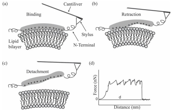 Fig. (9)