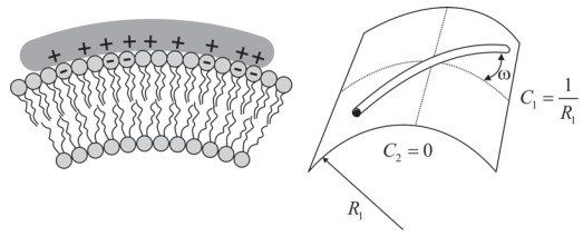 Fig. (5)