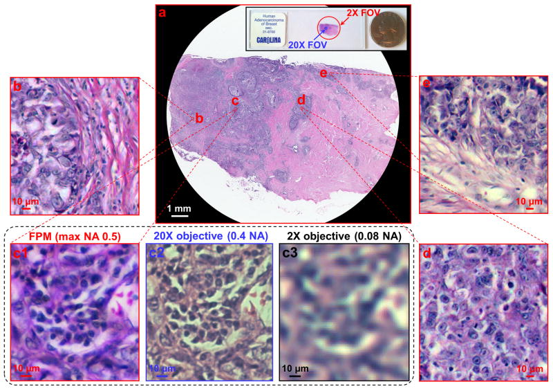 Fig. 4