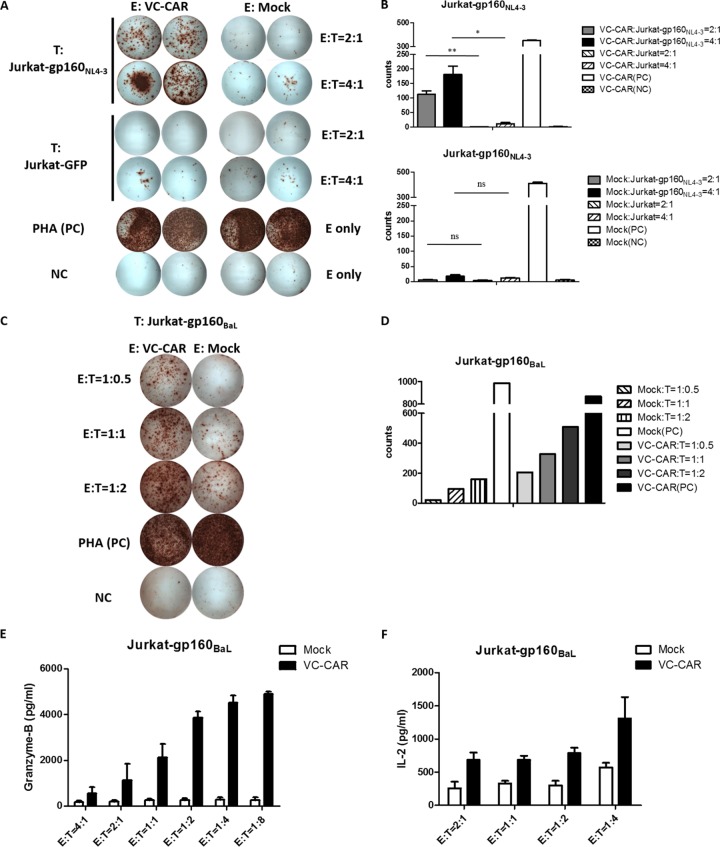 FIG 3