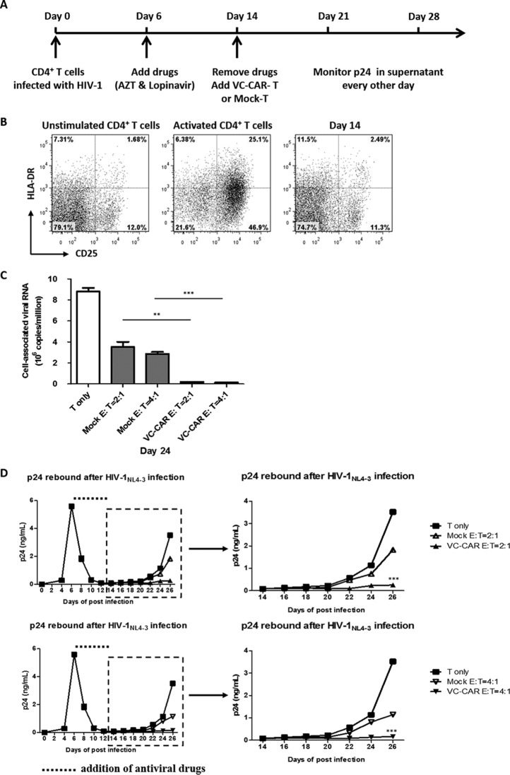 FIG 6