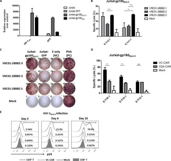 FIG 2