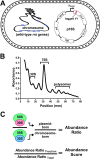 FIG 3