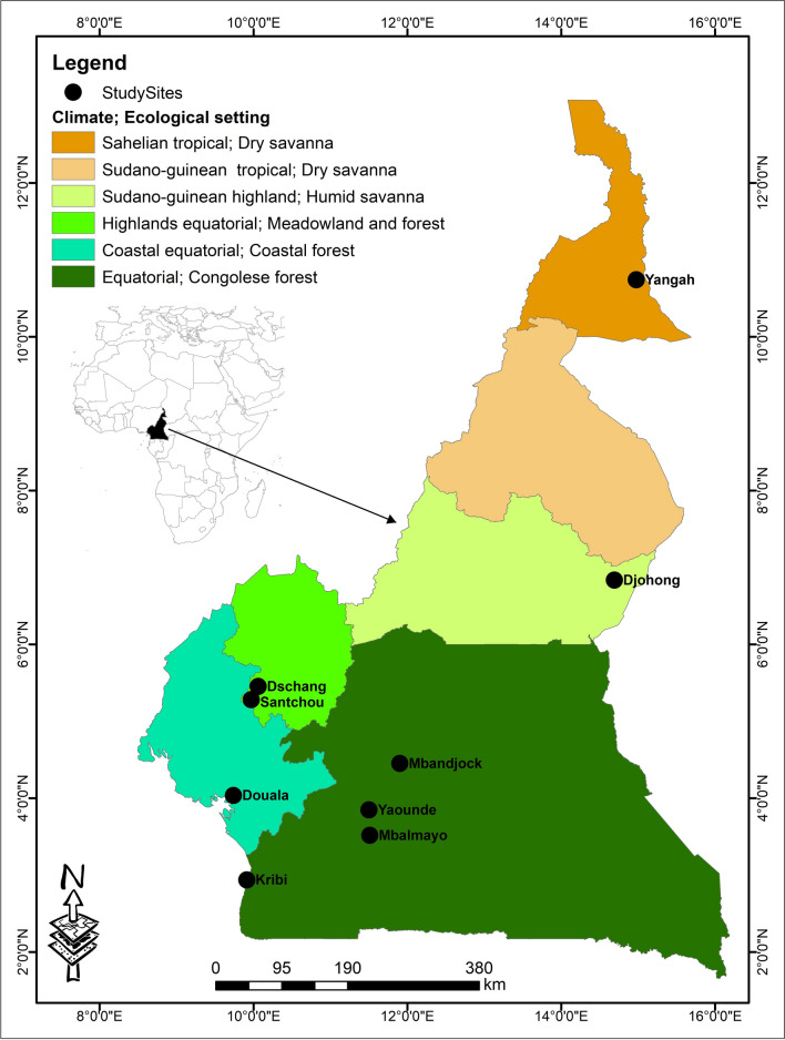 Fig. 1