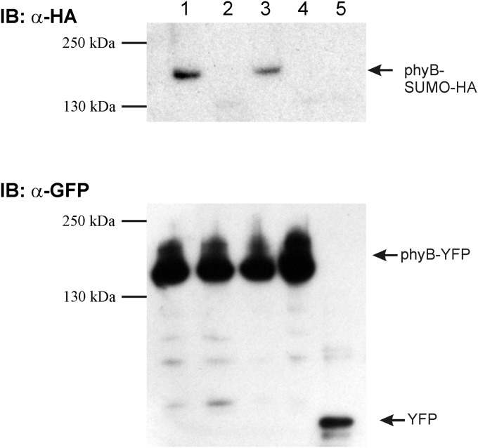 Fig. S1.