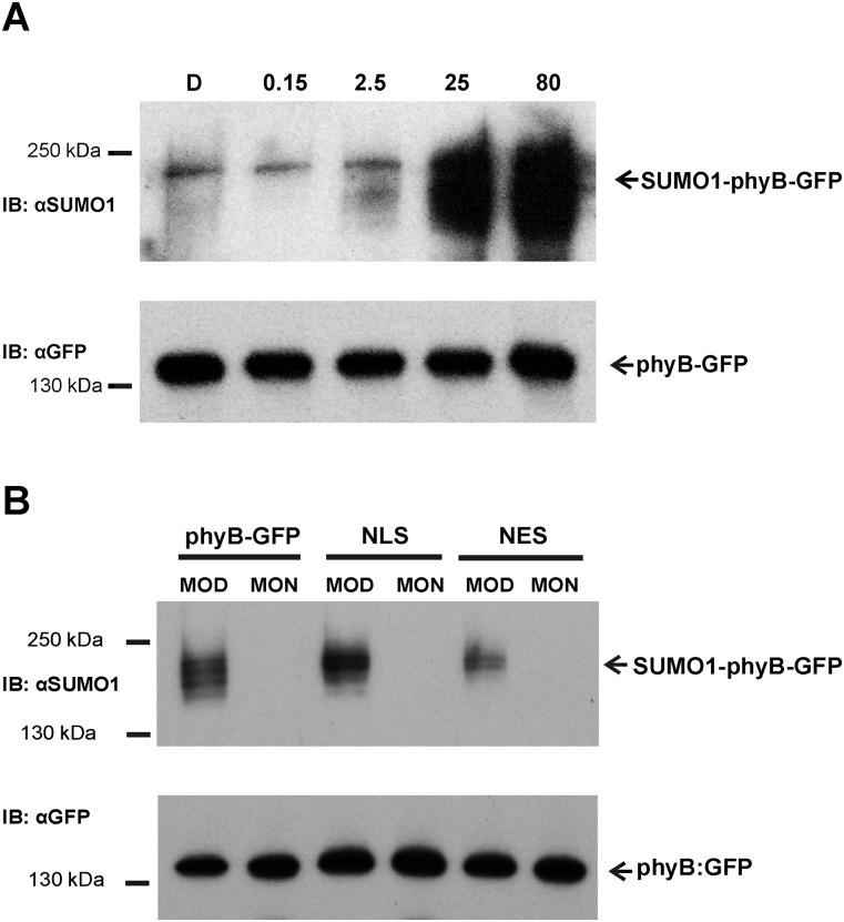 Fig. S6.