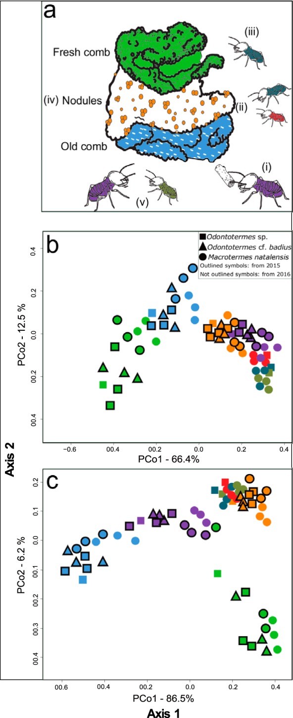 FIG 2