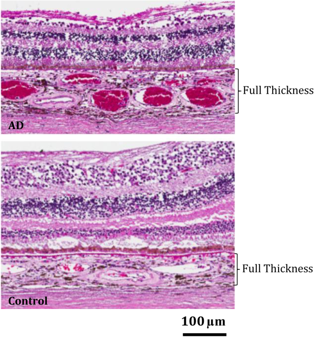 Fig. 3