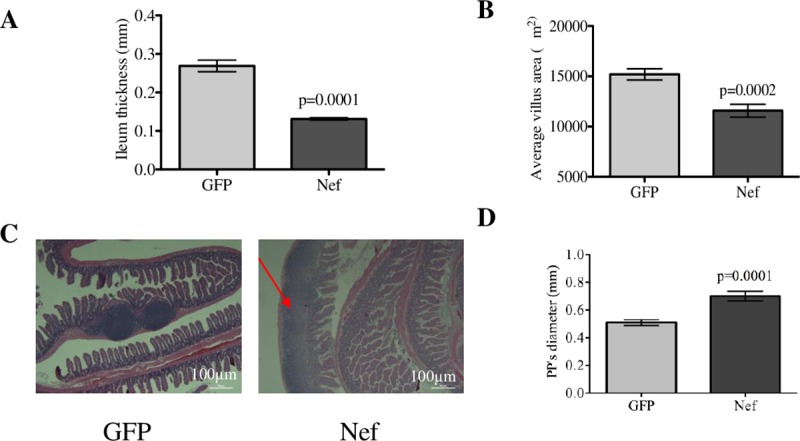 Fig 3