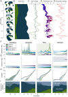 Fig. 3.