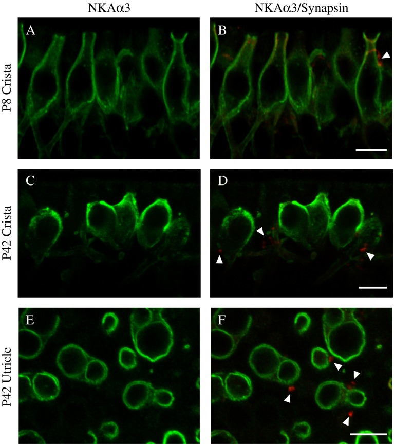 FIG. 9