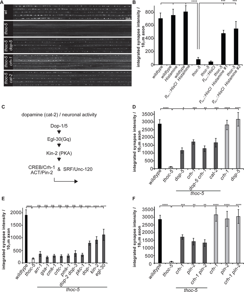 Figure 6: