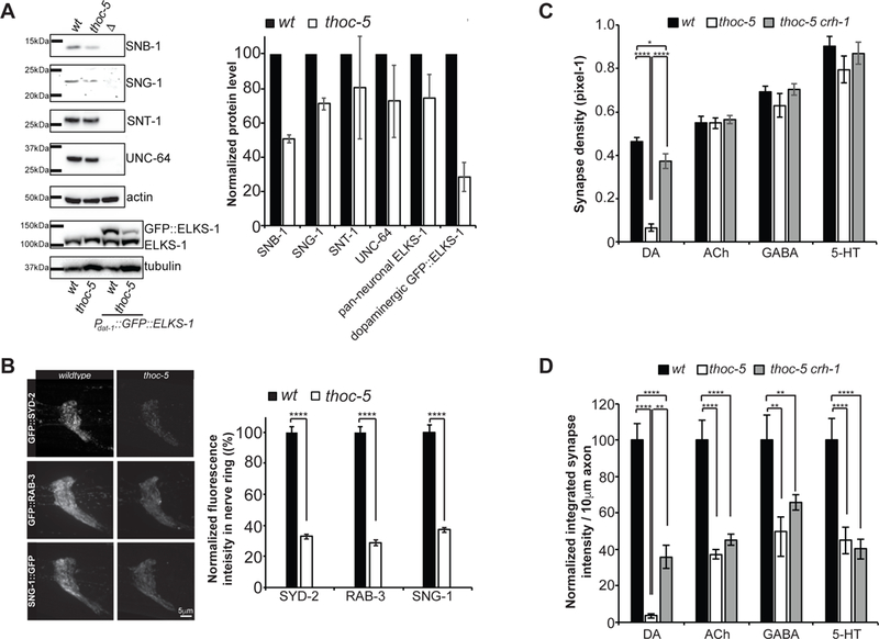 Figure 2: