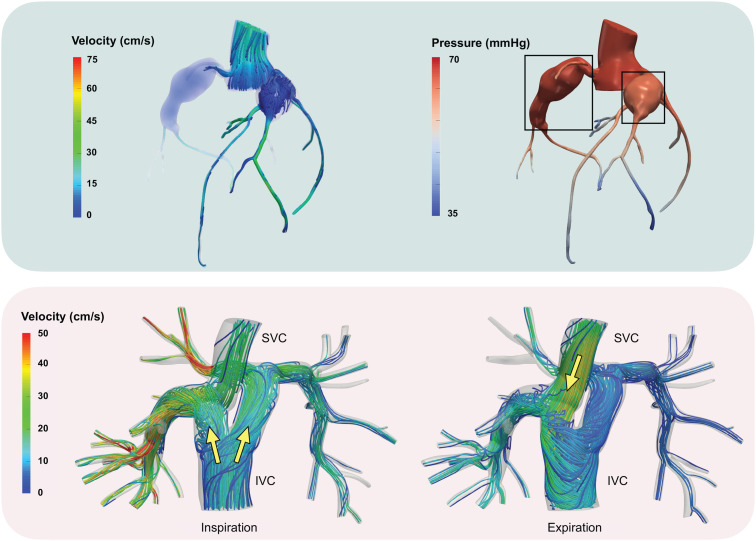 FIG. 3.